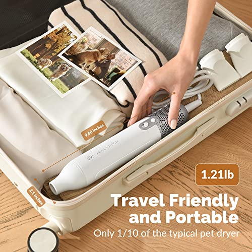 Handheld Dog Dryer