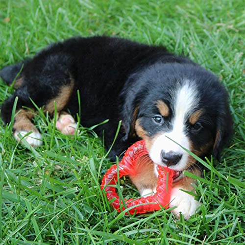 Snuggle Puppy Essentials Starter Kit (Neutral)