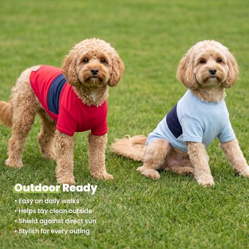 3 Pack Color Block Striped Dog Shirt (XX-Large / Red-Blue-Grey)