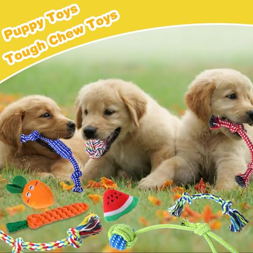 Puppy Chew Toys for Teething - PetSolution