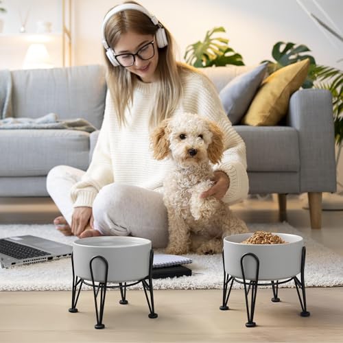 Elevated Dog Bowls (Gray / 3.6 Cups | 2 Pack | For Medium Dogs)