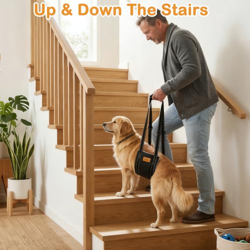 Dog Lift Harness for Large Dogs (L)