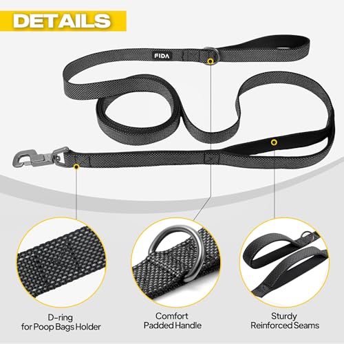 10 FT Heavy Duty Dog Leash (10 Feet (Pack of 1) / Black)