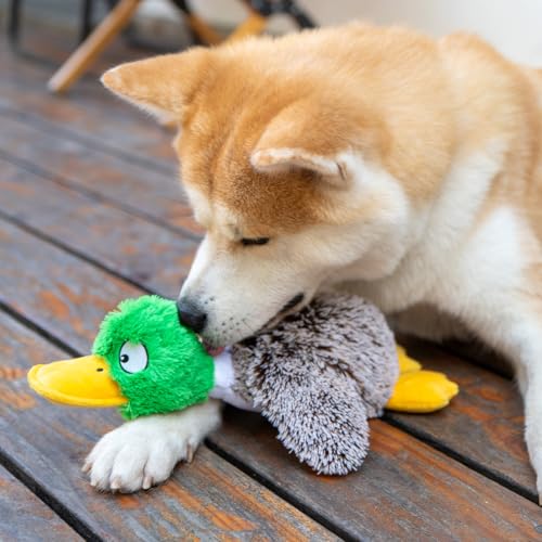 Interactive Squeaky Dog Chew Toy (Mallard Duck (Gray) / Large)