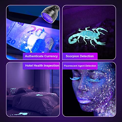 UV Flashlights Black Light for Pet Urine Detection 51 LED Blacklight Flashlight for Dog Cat Stains