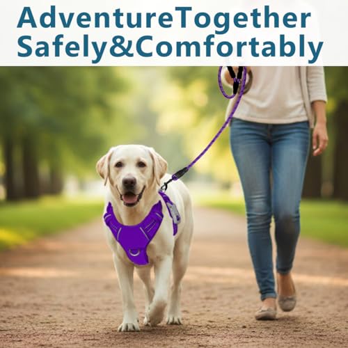 No Pull Dog Harness for Medium Sized Dogs (Medium(Chest:22.5-28") / Purple-Oxford)