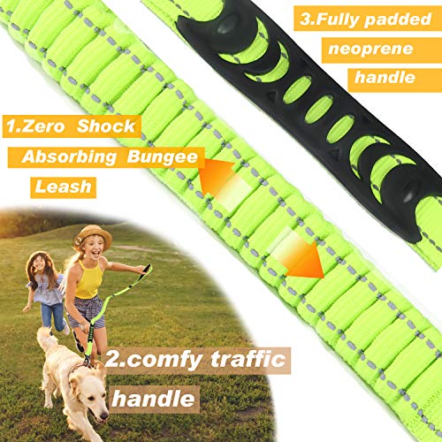 Heavy Duty Bungee Dog Leash with Locking Carabiner for Large Dogs (Fluorescent Green)