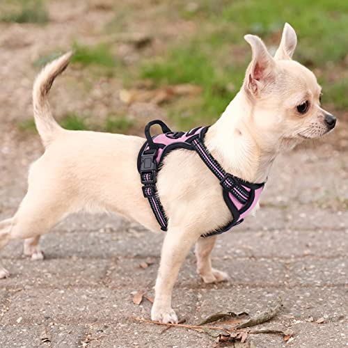 Dog Harness No Pull with 2 Leash Clips (X-Small / Pink)