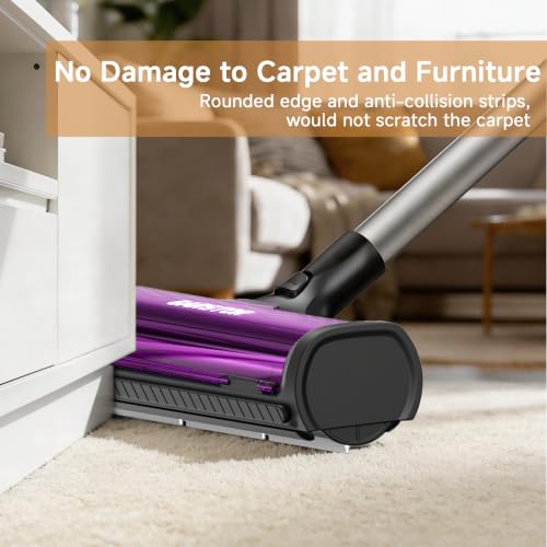 Pet Hair Remover for Carpet (Purple)