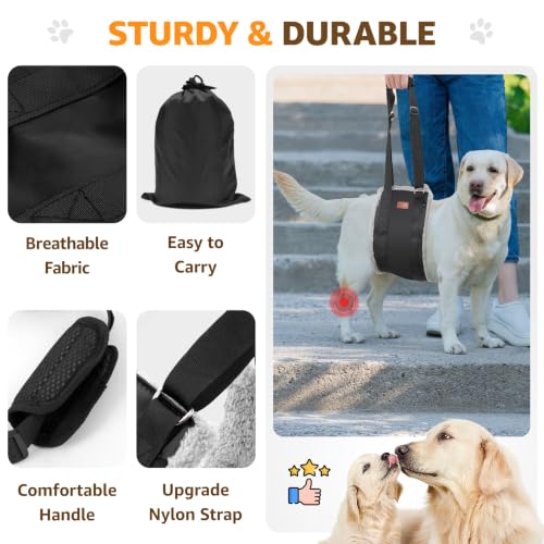 Adjustable Dog Sling for Large Dogs Hind Leg Support Weak Legs Mobility Aid (Grey & Black / Large)