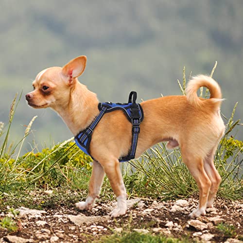 Dog Harness No Pull for Small Dogs with 2 Leash Clips (X-Small / Dazzling Blue)