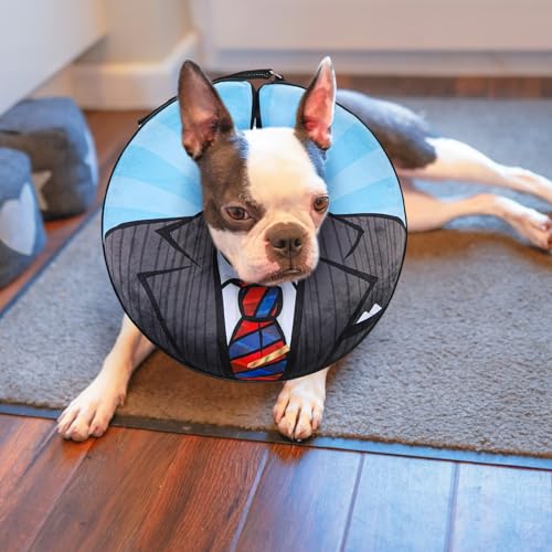 Dog Cone Collar Alternative After Surgery (Black Suit / L(Neck:16"-18"))