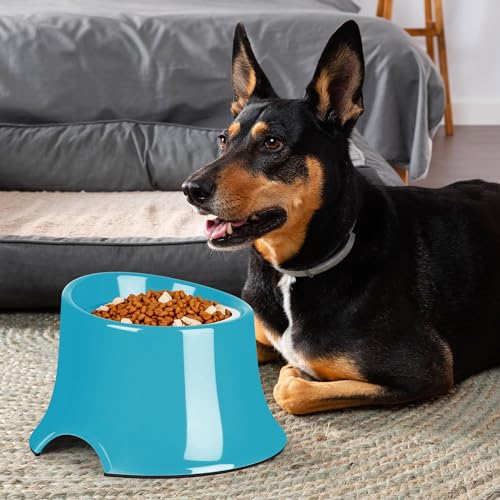 Dog Bowls Non (S/1 Cup / Grass Blue)
