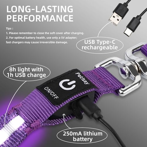 Light up Dog Leash for Night Walking (6 FT / Orange)