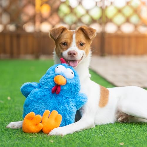 Squeaky Plush Dog Toy (Mrs. Cluck (Blue) / Large)