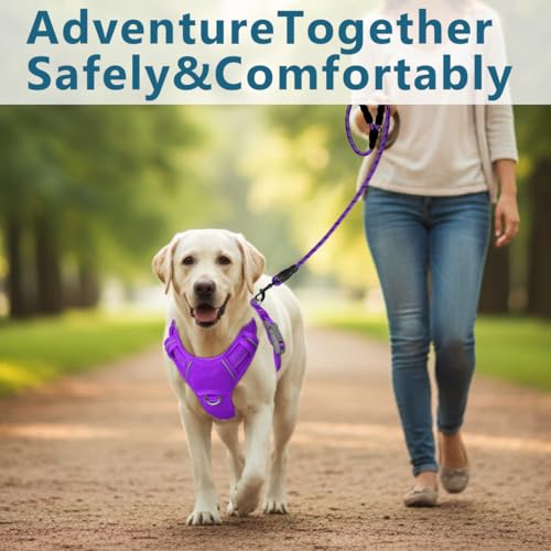 No Pull Dog Harness for Large Dogs (Large(Chest:24.5-32.5") / Purple)