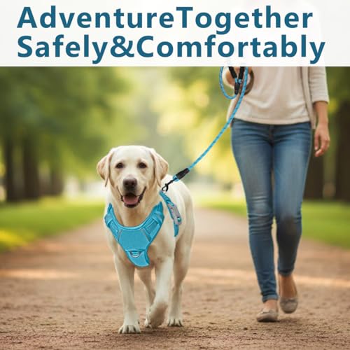 No Pull Dog Harness for Medium Sized Dogs (Medium(Chest:22.5-28") / Aqua-Oxford)