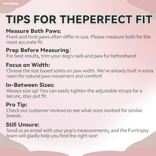 Dog Shoes for Hot Pavement Paw Protectors (RED / #6 (Width 2.2 inch) for 31-40 lbs)