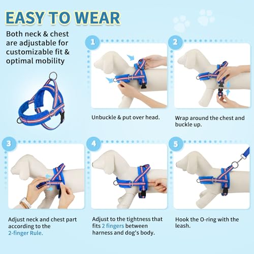 No Pull Small Dog Harness and Leash Set with Front Clip (XX-Small / Dark Blue)