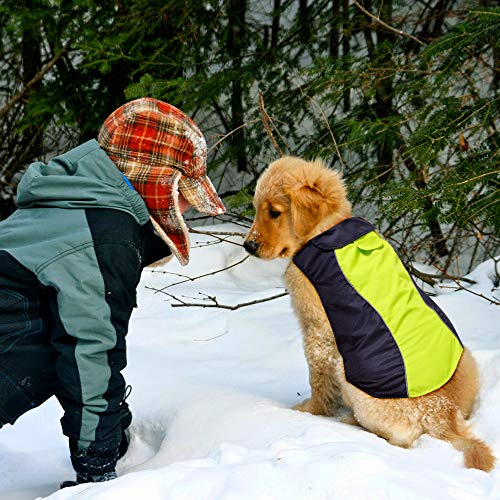 Dog Raincoat Waterproof Coats (Green-L)