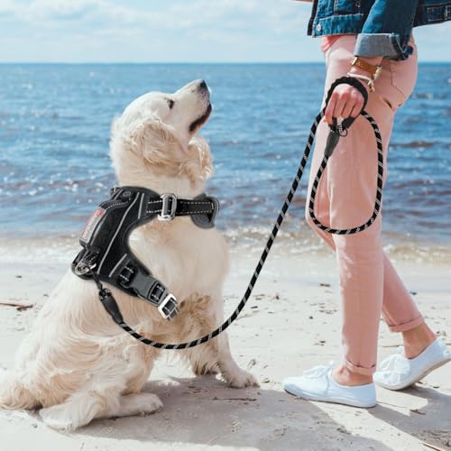 Dog Harness for Medium Sized Dog No Pull Dog Vest ID Tag Pocket (New Black / Medium)