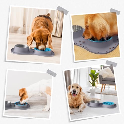 Dog Food and Water Bowl Set 3 in 1 (Small / Gray)