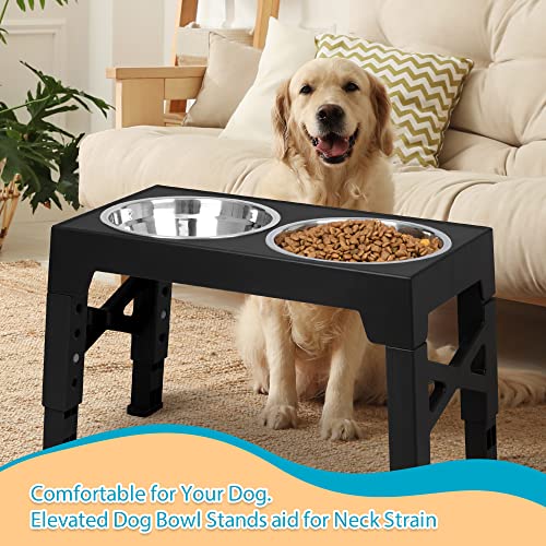 Elevated Dog Bowls with 2 Stainless Steel Dog Food Bowls (Black)