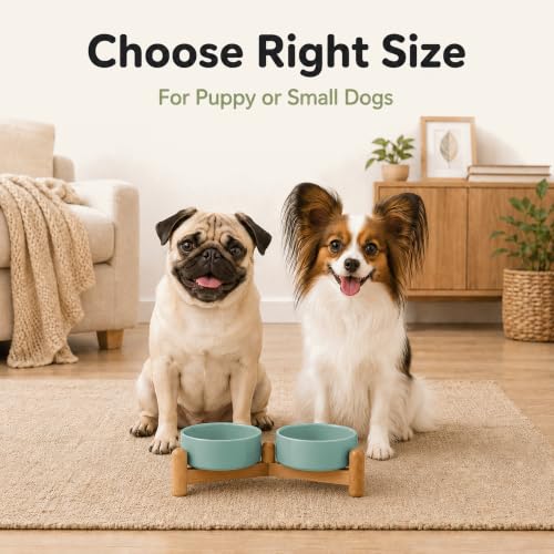 Ceramic Dog Bowls Elevated (Light Green)