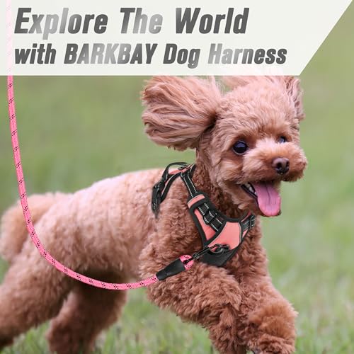 Dog Harness No Pull for Small Sized Dog Front Back Clips (X-Small(Chest:15.5-19.5”) / Light Pink)