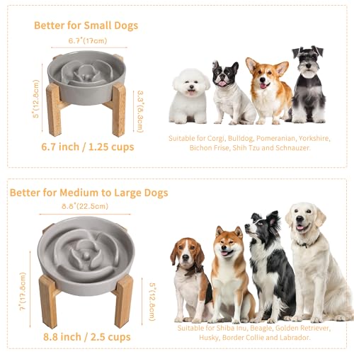 Elevated Slow Feeder Dog Bowl (Grey / 3.2 Cup(New) with Stand)