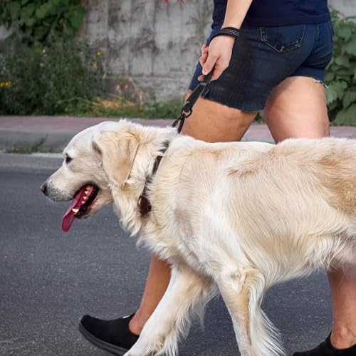 Reflective Short Dog Leashes 3 Pack for Walking and Training (Black / 1FT+1.5FT+2.5FT)