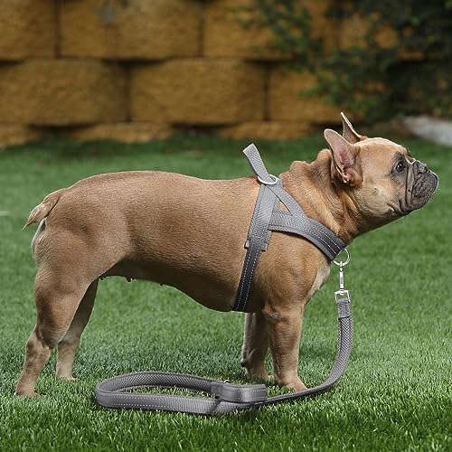 No Pull Dog Harness for Large Dogs (L: chest 25.2"-32.3" / Gray)