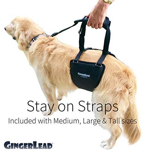 Dog Sling Hip Lift Support Harness (Tall - Female)