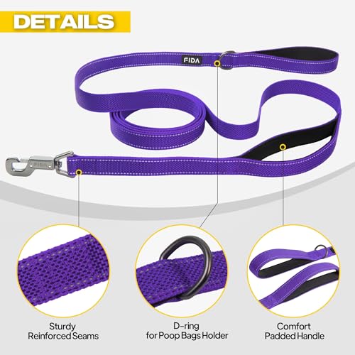 10 FT Heavy Duty Dog Leash (10 Feet (Pack of 1) / Purple)