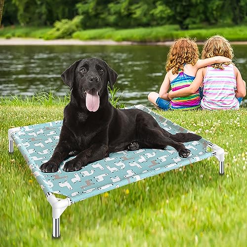 Elevated Dog Bed Pet cot (Medium)