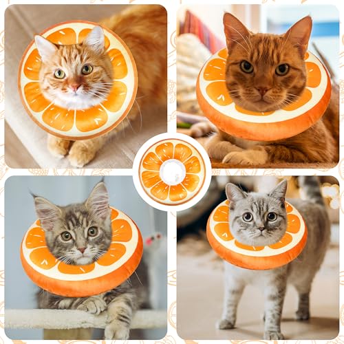 Cat Cone Collar Soft (Orange / Medium)