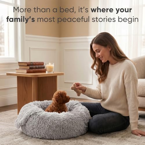 Small Cat & Dog Bed with Cover (20.0"L x 20.0"W x 7.0"Th / Light Grey)