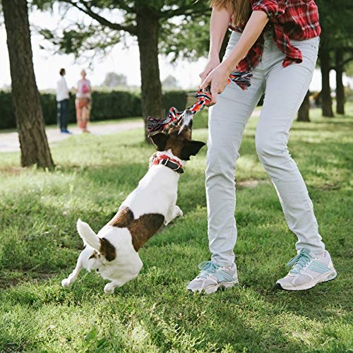 Dog Rope Toy 4 Pack (Red / Mini/Small)