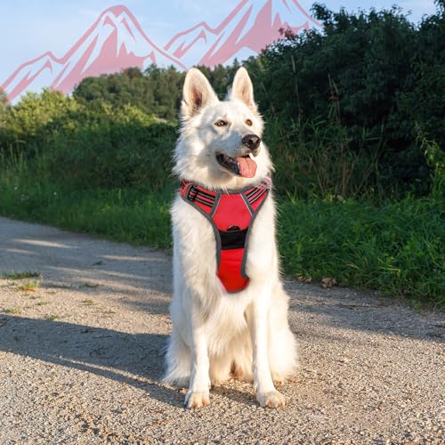Dog Harness for Large Dogs (X-large / Red)