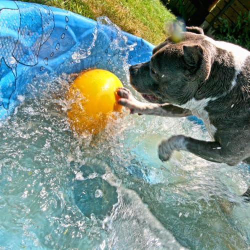 Jolly Egg Herding Dog Toy (Large (12 in) / Yellow)