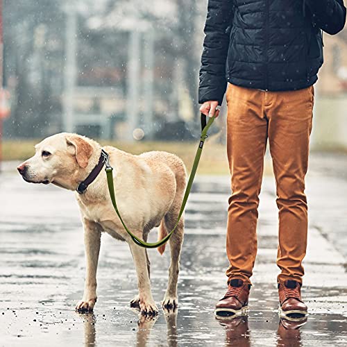 Heavy Duty Dog Leash for Medium Large Dogs (6 Feet (Pack of 1) / Green)