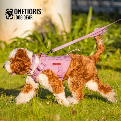 No Pull Dog Leash with Handle for Medium Large Dogs (Pink / 6FT)