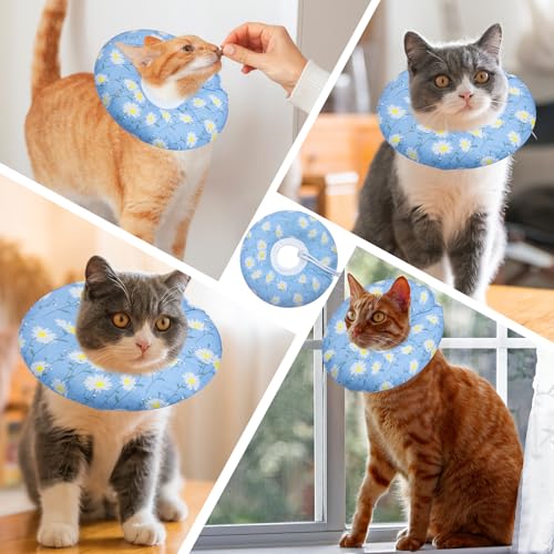 Cat Cone Collar Soft (Blue Daisy / Small)