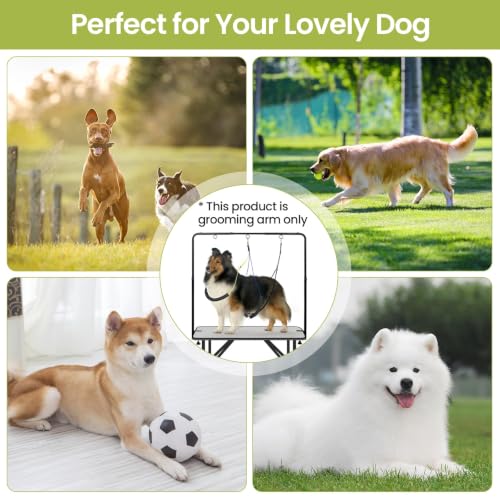 Adjustable Dog Grooming Arm with Heavy (Style 2 / XX‑Large)