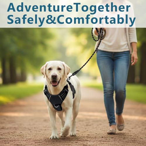 No Pull Dog Harness for Medium Sized Dogs (Medium(Chest:22.5-28") / Black-Oxford)