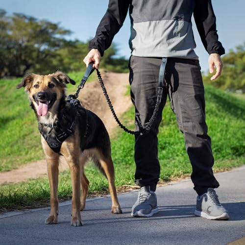 Waist Leash for Dog Walking (Black / Iron Grey)