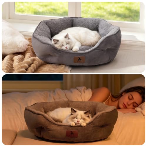 Medium Dog Bed for Medium Dogs (Medium (Pack of 1) / Grey)
