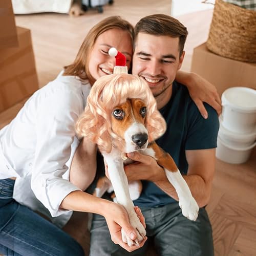 Dog Costume Long Blonde CurlyWigs with Small Red Christmas Hat StylingCute Funny Pet Costumes AccessoriesDecoration for Halloween (Gold Curly Wig)