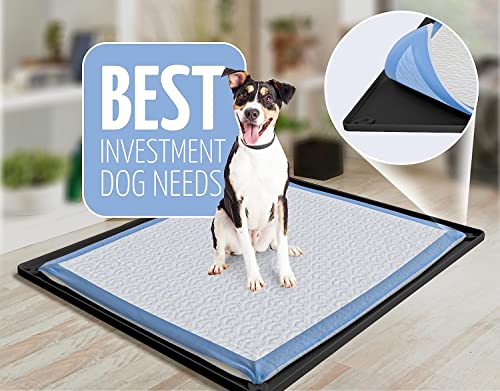 Dog Pee Pad Holder Tray Fits for 30” x 23” Pee Pads (30 x 23 Inches - 2 Pack / Black)