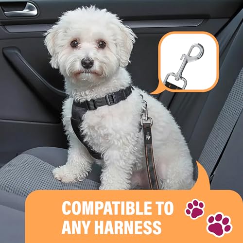 Black Car Seat Belt for Dogs 2 Pack (Black - 2 Pack)